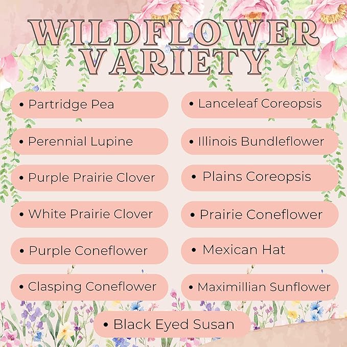 Wildflower Seed Packets Baby in Bloom Baby Shower Party Favors (Pack of 30) - Wildflower Seed Packet Favors Gift Boy Blue