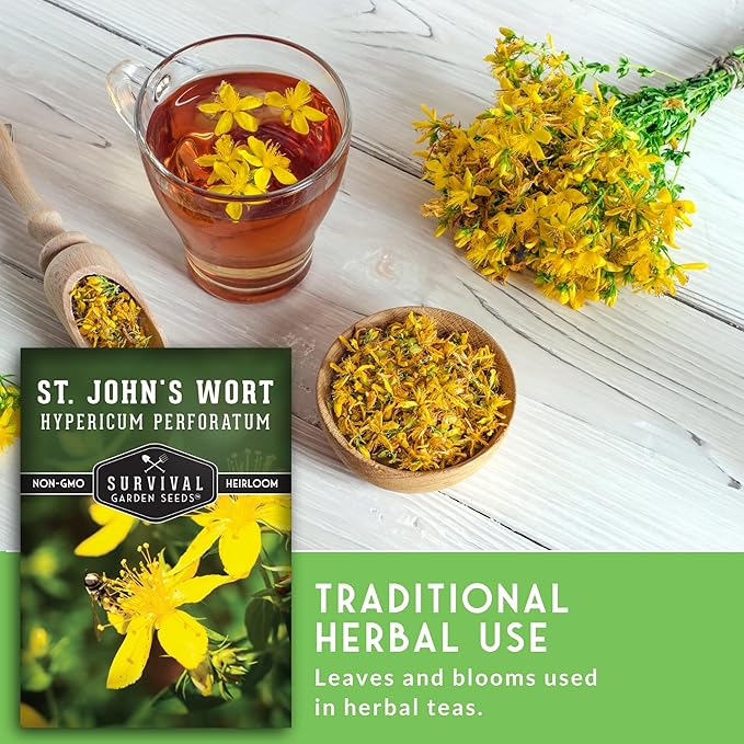 Survival Garden Seeds St. John's Wort Seeds for Planting – 1 Packet with Instructions to Grow Beneficial Perennial Herbs in Your Home Herb Garden – Non-GMO Heirloom Variety Seed