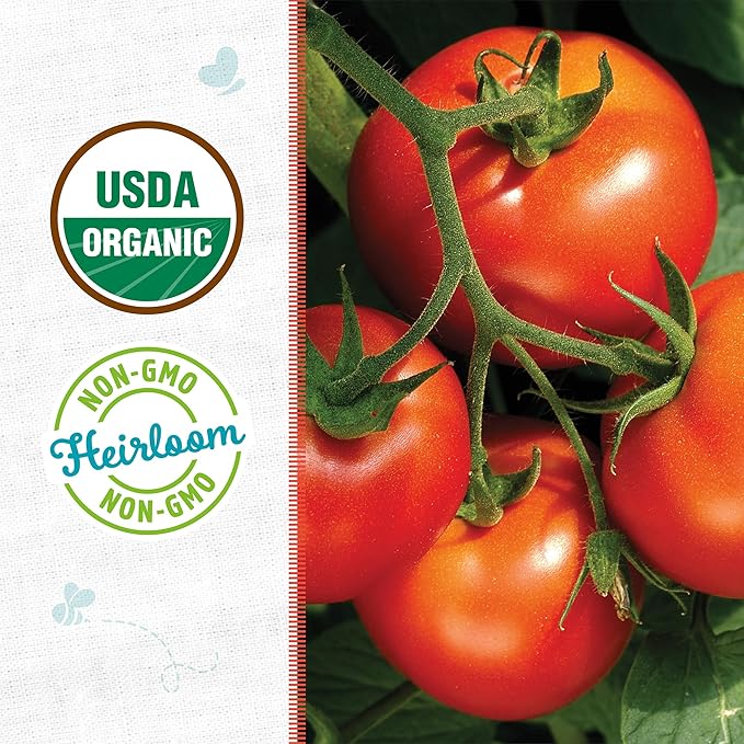 Back to The Roots 100% Organic Seed Packet - Tomato 'Rutgers' 140mg