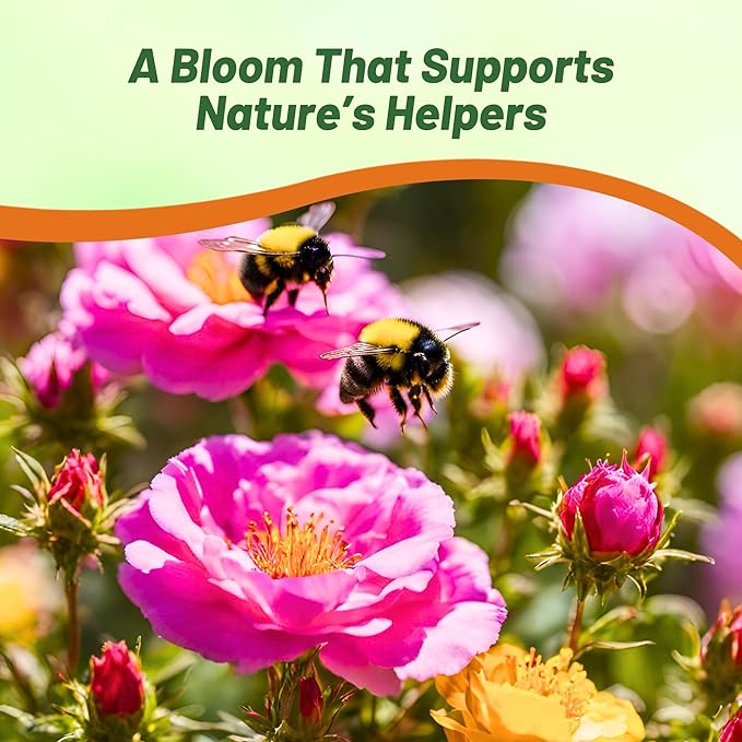 Outsidepride Pink Moss Rose Seeds - 10000 Pcs Annual, Drought & Heat Tolerant, Pollinator Friendly Ground Cover Seeds for Planting w/Vibrant Blooms & Succulent Foliage, Ideal for Xeriscaping