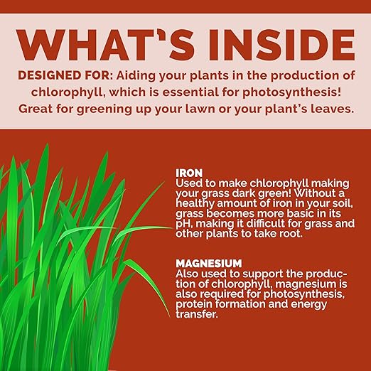 Chelated Liquid Iron – Bloom City Organic Iron Supplement for Lawns & Plants – 8 oz