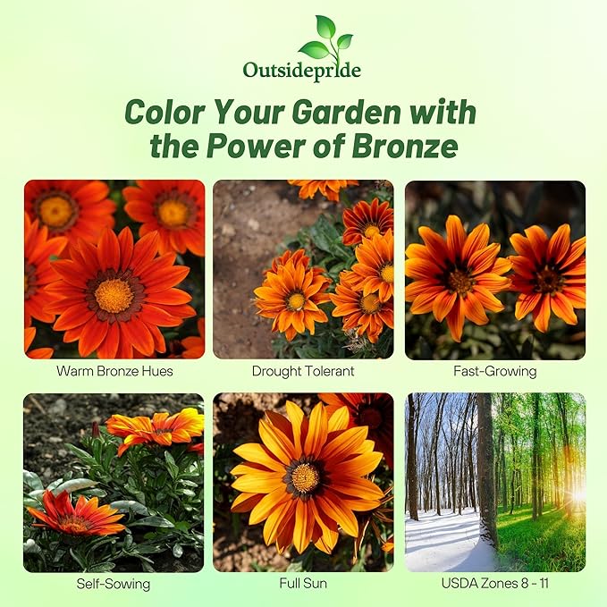 Outsidepride New Day Bronze Gazania Seeds for Planting – 25 Pcs Perennial, Low-Maintenance, Drought-Tolerant Ground Cover Seeds for Vibrant Summer & Fall Flowers, Great for Outdoor Gardens