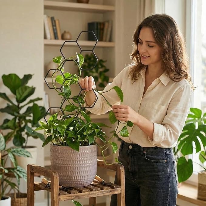 Plant Trellis Indoor, Trellis for Climbing Plants, Hanging Planters for Planting Houseplant Plant Wall, Honeycomb Pothos Planting Climber Support for Flower Indoor Plants Supports(Black)