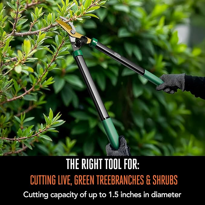 Scotts 21 in. Bypass Lopper for Tree Branch Trimming and Pruning – Heavy-Duty Branch Cutter with Ultra-Sharp Carbon Steel Blade, 1.5 in. Cutting Capacity and Comfort Grip Handles