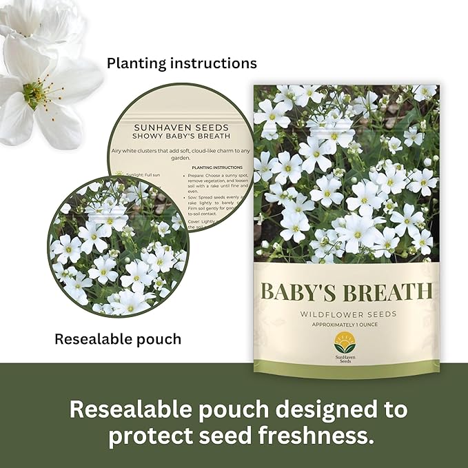 Baby’s Breath Seeds – 20,000+ Seeds – 1 oz Bulk Resealable Packet – Quick Blooming Gypsophila elegans Flower Seeds with White Blooms for Bouquets, Borders & Wildflower Gardens