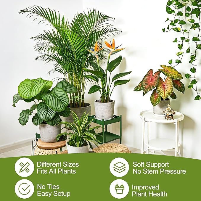40PCS Plant Stem Support, Plant Support for Indoor Plants, Reusable Plant Support Clips, Climbing Houseplant Stem Holders, Indoor Plants Accessories