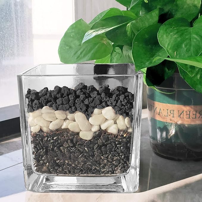 Black Lava Rocks for Plants -100% Pure Volcanic Rock No Dyes or Chemicals-Best Lava Stones Top Dressing for Cacti Succulents Plants,Bonsai