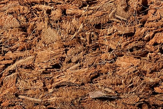 Noot Indoor Coconut Chips Husk Bark Potting Mix Coco Coir Brick. Avoid Root Rot with Fast Draining Soil. Houseplant, Monstera, Fiddle Leaf Fig, Orchid. Hydrate in Bag for ~ 2 Gal.