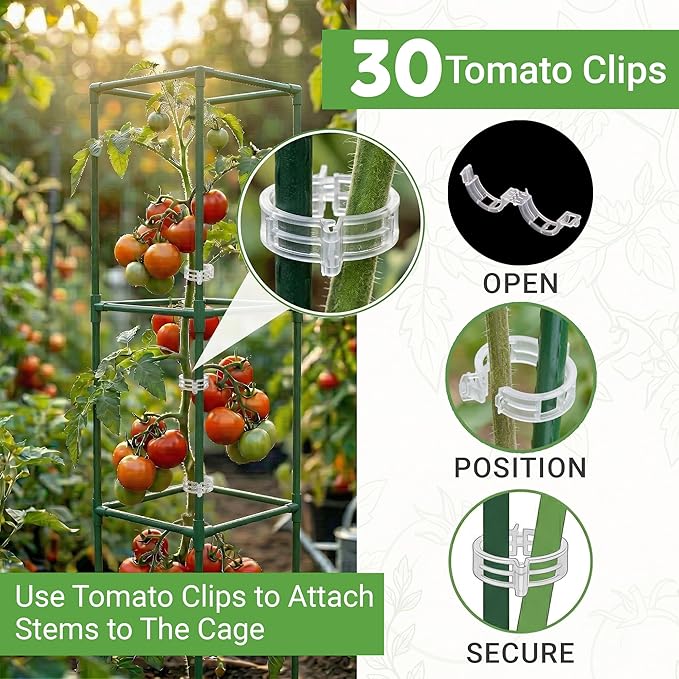 Tomato Cage Square - Large Trellis Stakes and Plant Support Structures for Vegetables and Climbing Plants - Tall Tomato Cages for Garden, Pots, Raised Garden Bed Outdoor Supplies (1 Pack - Up to 41")