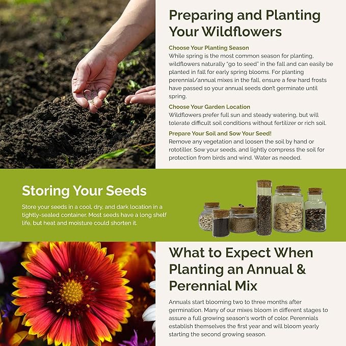 Eden Brothers Bird & Butterfly Wildflower Mixed Seeds for Planting, 10 lb, 4,800,000+ Seeds with Cosmos, Indian Blanket | Attracts Pollinators, Plant in Spring or Fall, Zones 3, 4, 5, 6, 7, 8, 9, 10