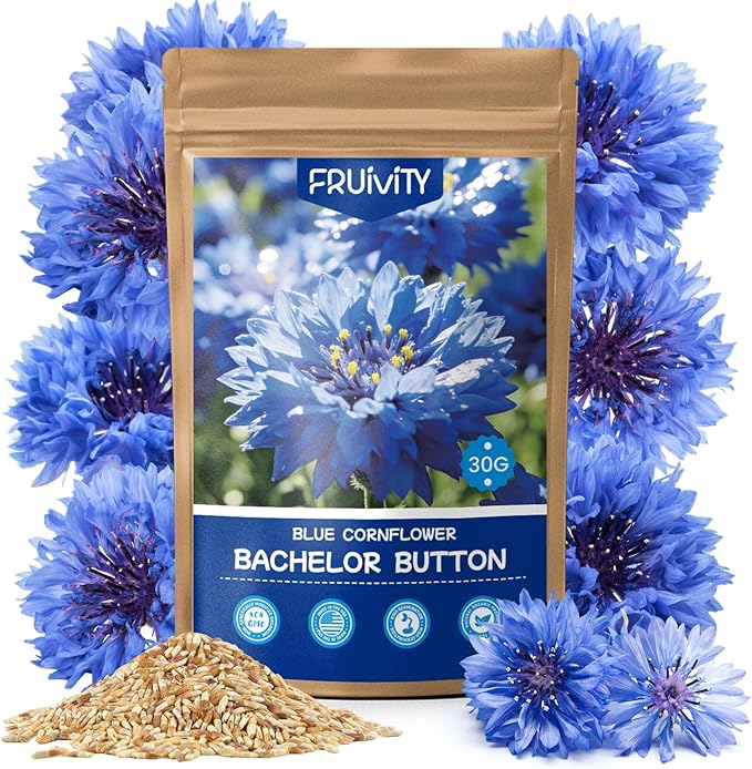 Bachelor Button Seeds, 6000+ Blue Cornflower Seeds, Wildflower Seeds for Planting Outdoor, Non-GMO Heirloom Seeds for Garden Pollinator, Low Maintenance Flower Seeds - Centaurea cyanus