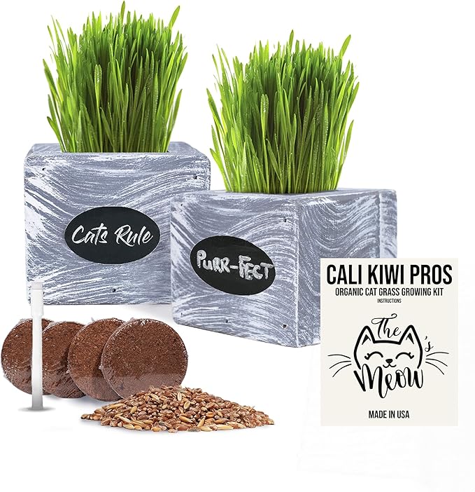 Cali Kiwi Pros Cat Grass for Indoor Cats Kit – Best Value Organic Seed & Soil for 3 Growing Cycles, Natural Hairball Remedy & Cat Gifts (White Wash)