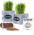 Cali Kiwi Pros Cat Grass for Indoor Cats Kit – Best Value Organic Seed & Soil for 3 Growing Cycles, Natural Hairball Remedy & Cat Gifts (White Wash)