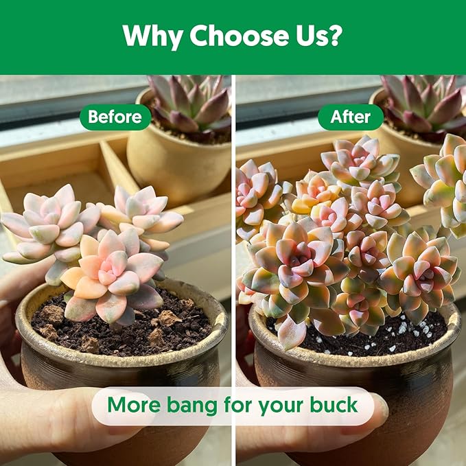 Succulent Cactus Potting Soil Mix (4 qt), All-Purpose Garden Potting Mix for Indoor Outdoor Plants, Quick Drain Houseplant Orchid Bonsai Perlite Soil, Ready-to-Use, Resealable Bag Design