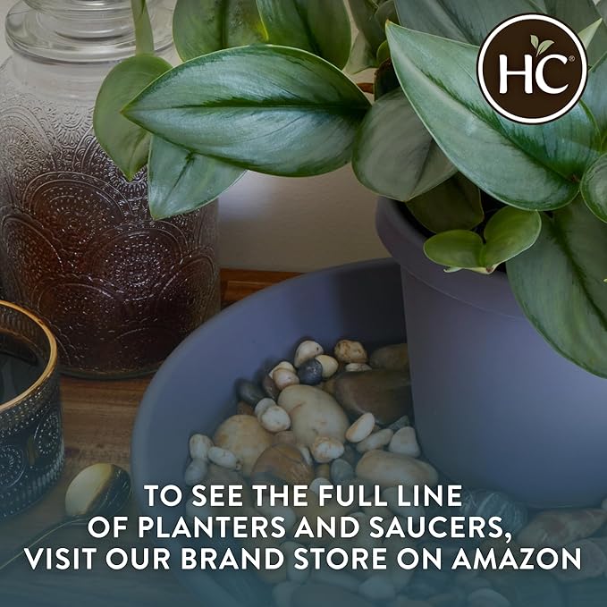 The HC Companies 8.5 Inch Classic Round Planter Pots with Drainage, Rolled Rim Plastic Planters for Indoor & Outdoor Plants, 4-Pack Decorative Flower Pots for Garden, Office & Home Decor, Seafoam
