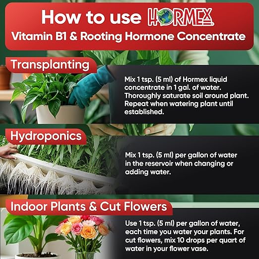 Hormex Liquid Rooting Hormone Concentrate with B1 – Root Growth Stimulator for Strong, Healthy Plants - Prevents Transplant Shock - Houseplants, Gardens, Hydroponics, Trees, Fruits & Vegetables, 16oz