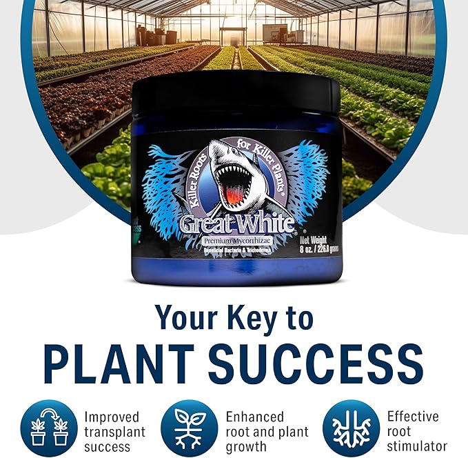 Great White Mycorrhizal Fungi, Beneficial Bacteria for Plant Growth, Root Stimulator, Concentrated 3-in-1 Formula by Plant Success (8 oz)