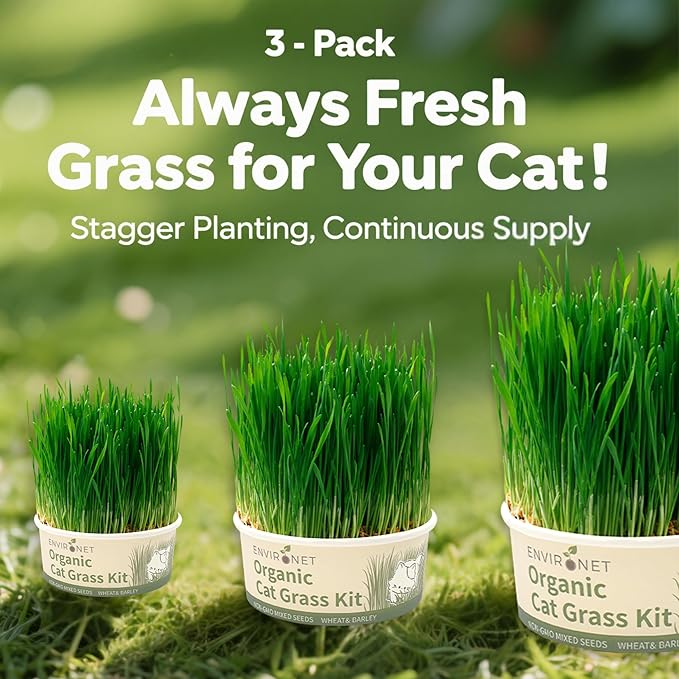 Environet Cat Grass Kit for Indoor Cat, Organic Grass Growing Kit with Seeds, Soil and Planting Tools, Quick Germination, Perfect for Beginners