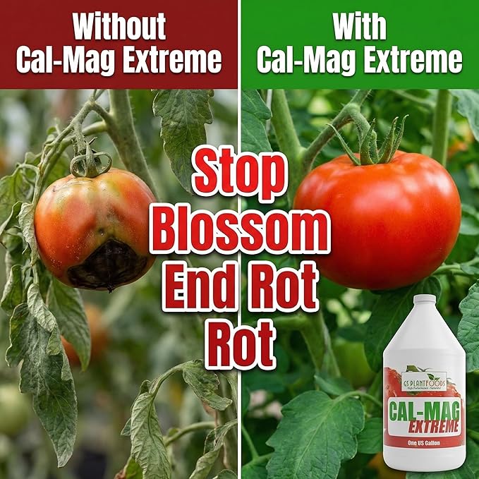 GS Plant Foods Cal-Mag Extreme Liquid 1 Gallon Fertilizer with Calcium, Magnesium, Iron and Sulfur Supplement, Corrects Secondary Nutrient & Trace Element Deficiencies, N-P-K of 2-0-0