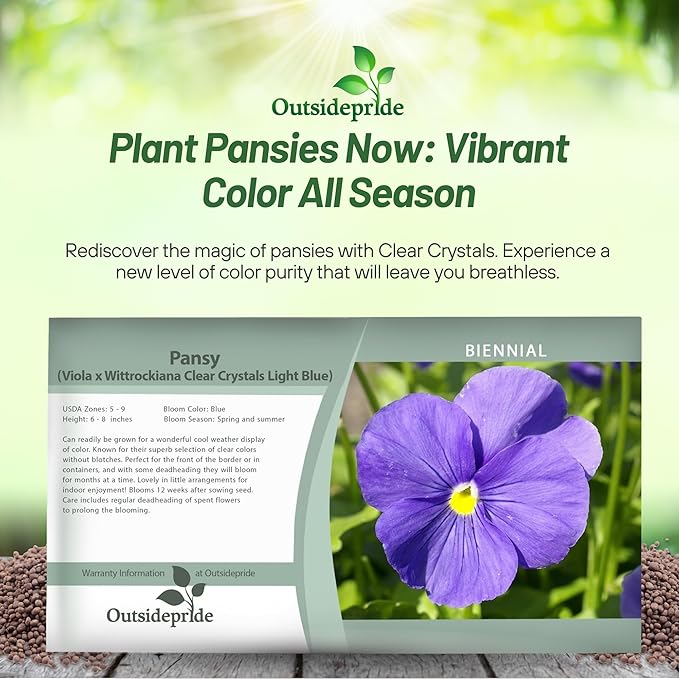 Outsidepride Light Blue Viola Pansy Seeds for Planting - 1,000 Pcs. Biennials, Trailing, Cold-Hardy & Pollinator Friendly Flowers with Fragrant Blooms for Garden Beds, Borders & Container Displays