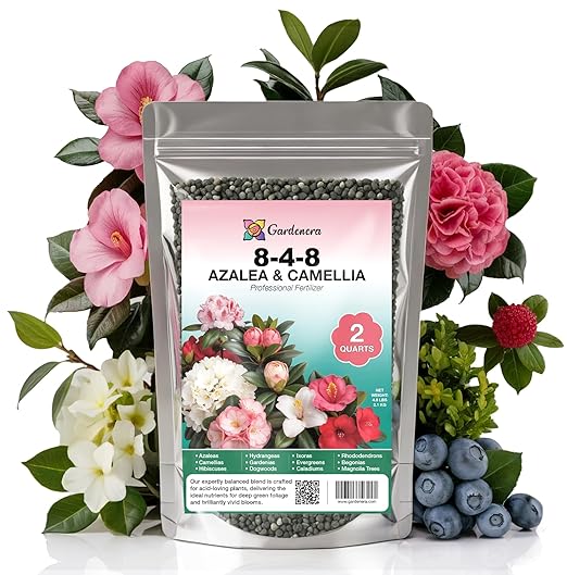 𝐁𝐄𝐒𝐓𝐒𝐄𝐋𝐋𝐄𝐑 Premium 8-4-8 Acidic Fertilizer for Azaleas, Camellias, Hydrangeas, Blueberries, Gardenias, Magnolia Trees, Evergreens and Rhododendrons - Ideal Iron-Rich Plant Food - 2 QUARTS