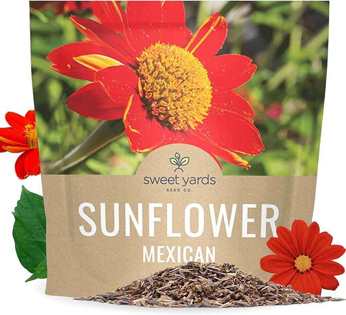 Mexican Sunflower Seeds – Extra Large Packet – Over 2,500 Open Pollinated Non-GMO Wildflower Seeds – Tithonia rotundifolia