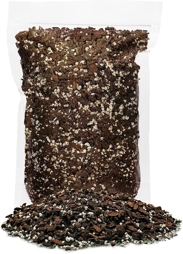 GARDENERA Shingle Plant Soil Mix - Specially Formulated for Strong Root Development - 2 Quart