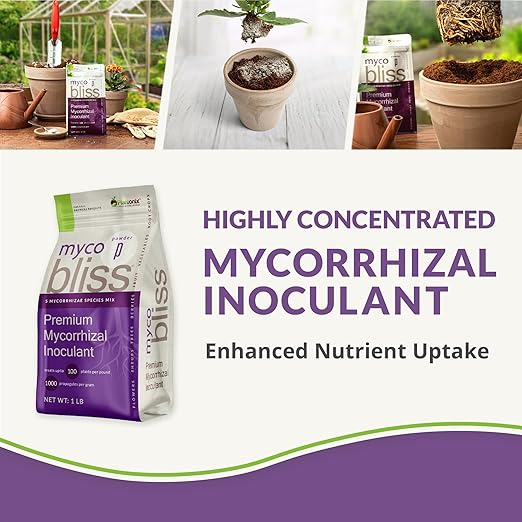 Worm Bliss (1 Qt) + Myco Bliss Granular (200 g) - Mycorrhizal Fungi Inoculant & Worm Castings for Plants - Mycorrhizae for Plants - Earthworm Castings Organic Fertilizer - Mycorrhizal Inoculant