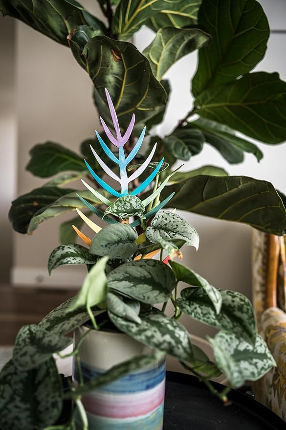 Treleaf Bare™ Bundle – Monstrella + Palmella - Set of 2 Wooden Plant Trellises for Indoor Climbing Houseplants – 12” Tall Customizable Leaf-Shaped Plant Supports
