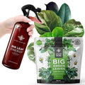Plant Food + Neem Oil Spray for Plants : Seaweed-Rich Fertilizer for Leafy Houseplants and Organic Leaf Spray
