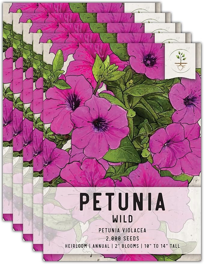 Seed Needs, Wild Petunia Seeds - 2,000 Heirloom Seeds for Planting Petunia violacea - Annual Flowers, Perfect for Beds, Borders, Pots & Containers (5 Packs)
