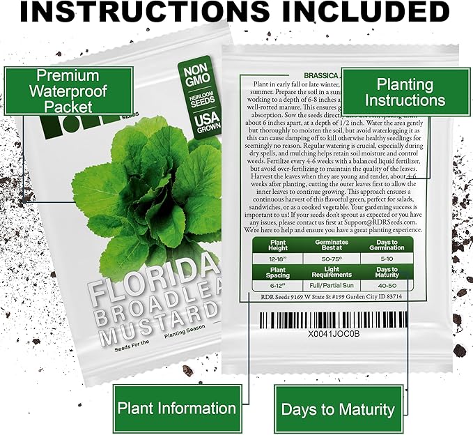 2000 Florida Broadleaf Mustard Seeds for Planting - Heirloom, Non-GMO, USA Grown - Brassica Juncea
