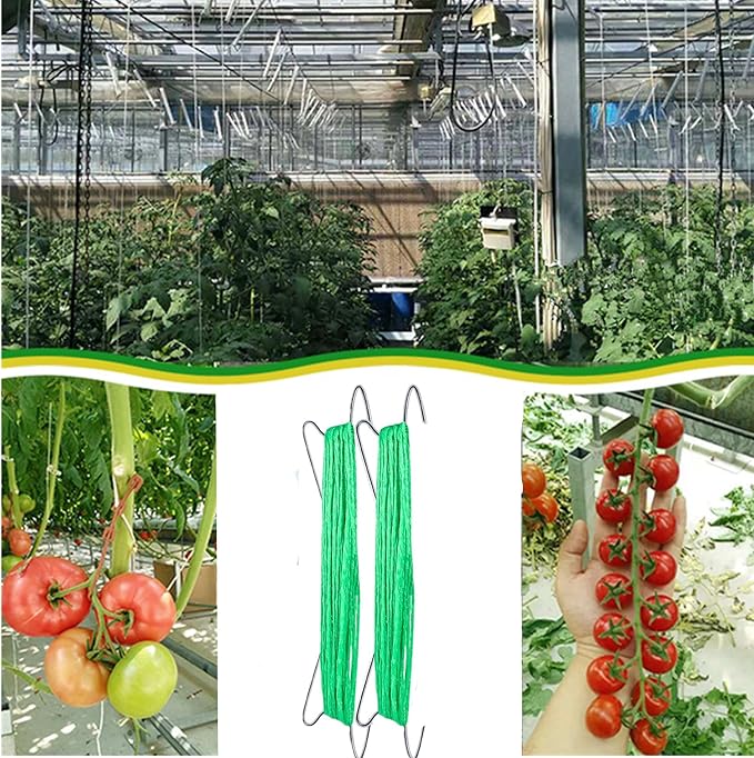60pcs Tomato Hooks With String, Tomatoes Holder Hooks with 32.8ft Twine & Plant Support Clips, Vegetable Support J-Hook Clips Climbing Vine Crop Trellis Hooks for Vegetable Plant Fruit Flower (Green)