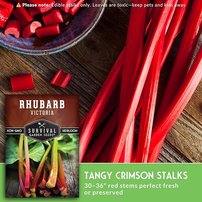 Victoria Rhubarb Seeds for Planting - Grow Cold-Tolerant Perennial Spring Fruit/Vegetables in Your Home Garden - Non-GMO Heirloom Variety - Survival Garden Seeds (3 Packs)