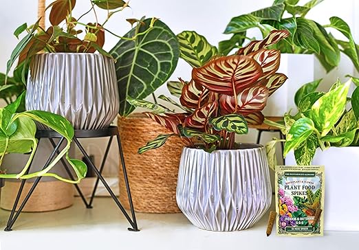 The Old Farmer's Almanac Houseplant & Flower Plant Food Mini Spikes - NPK 5-5-5 for Continuous Feeding and Vibrant Colors (72 Mini Spikes)