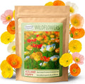 Created by Nature Iceland Poppy Seeds, 34,700 Perennial Wildflower Seeds