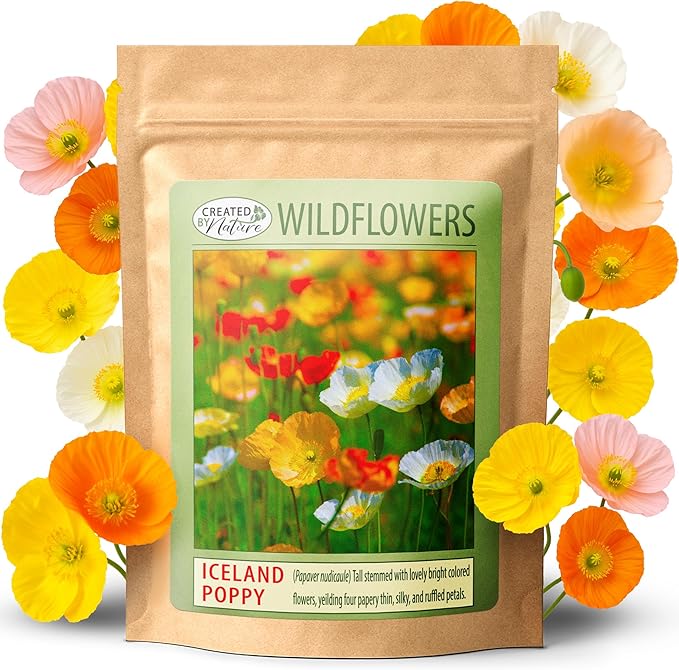 Created by Nature Iceland Poppy Seeds, 34,700 Perennial Wildflower Seeds