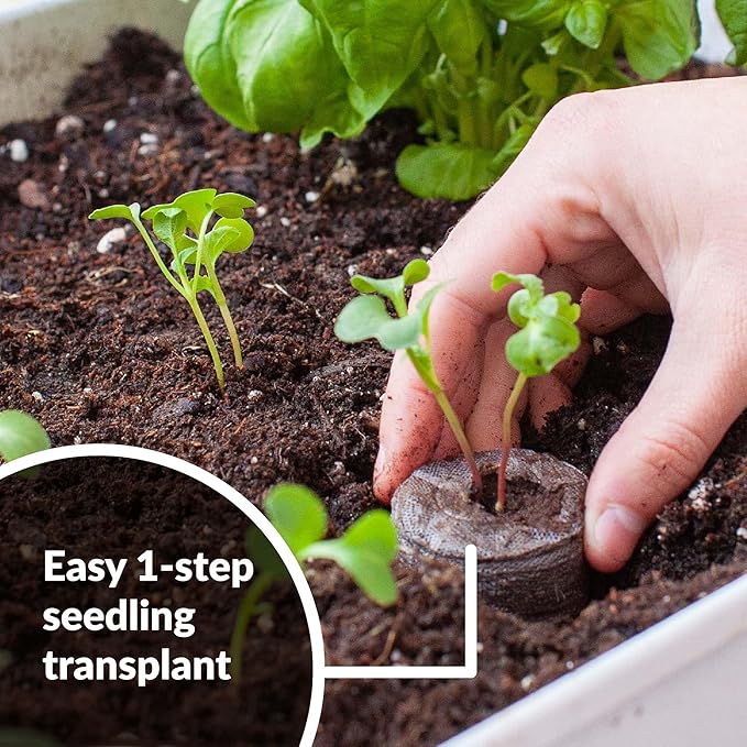 Jiffy Plant Starter Pellets - Compact Organic Seedling Peat Pellets Refill - 42mm, 5 Pack, Peat Soil