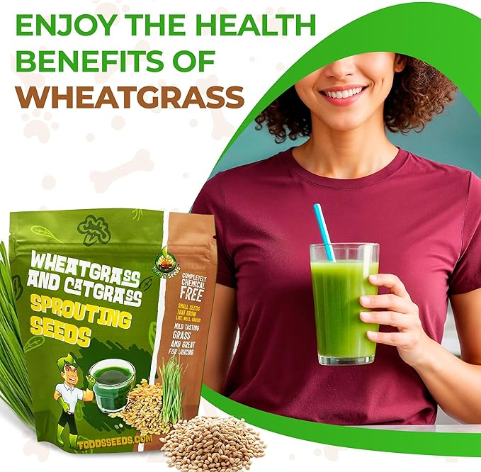 Todd's Seeds - (2-Pack) Wheatgrass Seeds, One Pound, Cat Grass Seeds, Hard Red Wheat, Total of 2Lbs