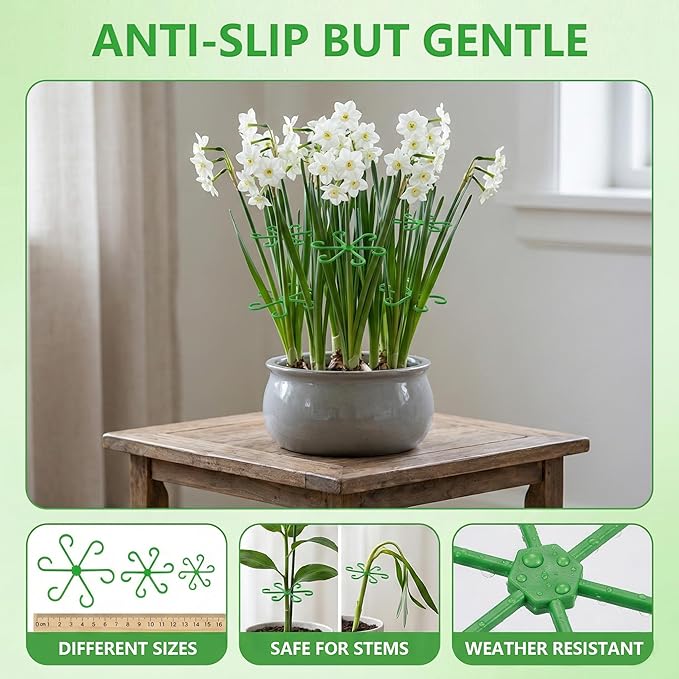 16PCS Plant Stem Support for Indoor Plants, Climbing Houseplant Stem Supports, 4 Sizes Reusable Clips for Monstera, Orchid & Pothos, Climbing Stem Holders (Green)