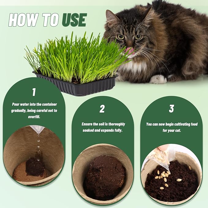 Organic Potting Soil for Indoor Cat Grass, Great Seedling Soil for Wheat Grass, Bermuda, Catnip, and All Indoor Herb Plants