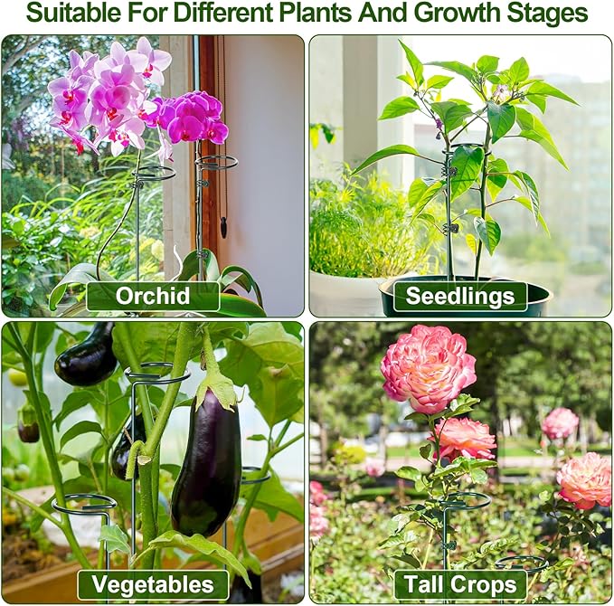 Mwellewm 6 Sets Plant Stakes 12/25/36 Inch Adjustable Plant Support Stakes Tall for Indoor Outdoor Plant Holder Stick Steel Garden Stem Pole Amaryllis Stakes with 30 Clip for Tomato Orchid Lily Flower