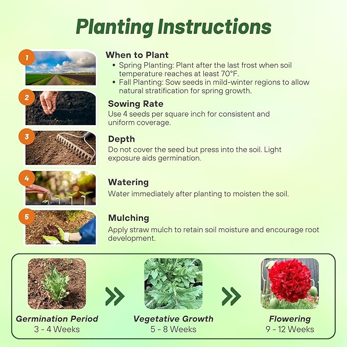 Outsidepride Peony Poppy Seeds for Planting - 5,000 Pcs Annual, Drought-Tolerant & Easy to Grow Wildflower Seeds with Vibrant Red Blooms for Landscaping, & Pollinator Garden