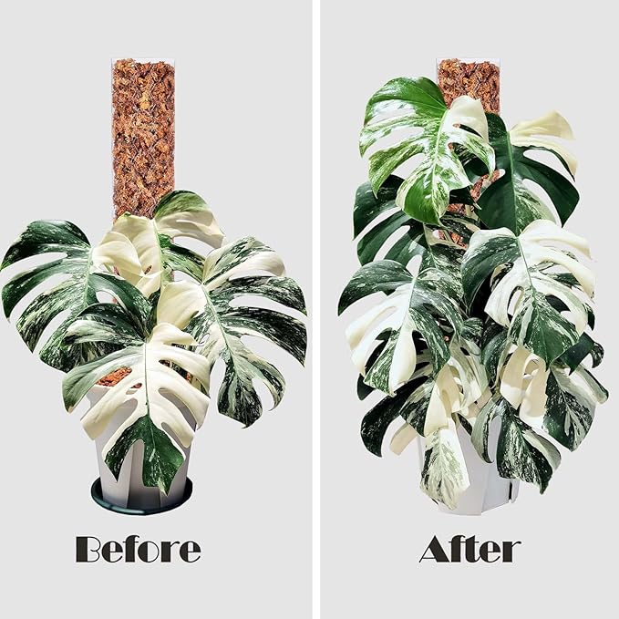 8 Pcs 17 Inch Plastic Moss Pole for Plants Monstera,Designed Specifically for Climbing Plants, Stackable Plant Support for Indoor Plants