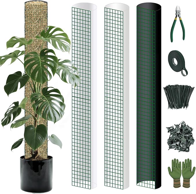 Metal Moss Poles for Climbing Plants, D-Shape Sphagnum Moss Pole Monstera Plant Support for Climbing Plants, DIY Plant Stakes Work with Sphagnum Moss (12ft D-Shaped)