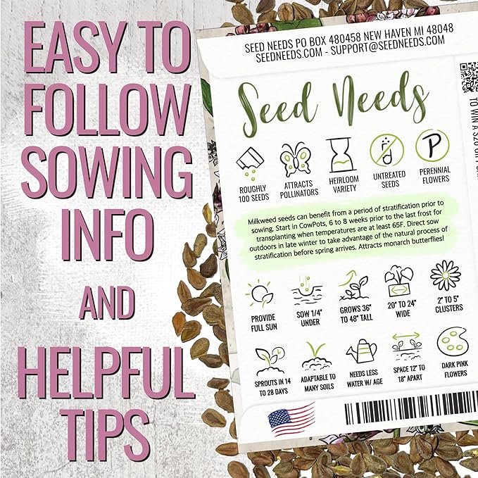 Seed Needs Milkweed Seeds for Planting Showy Pink/Common Pink Asclepias Flowers - Heirloom Wildflowers to Attract Monarch Butterflies to a Butterfly Garden