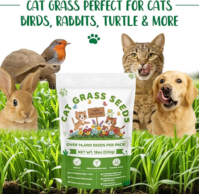 18oz Cat Grass Seeds Bulk - Over 14000+ Premium Cat Grass for Indoor Cats & Pets, High Germination Rate & Easy to Grow, Non-GMO Wheat Grass Seed for Planting(510g)