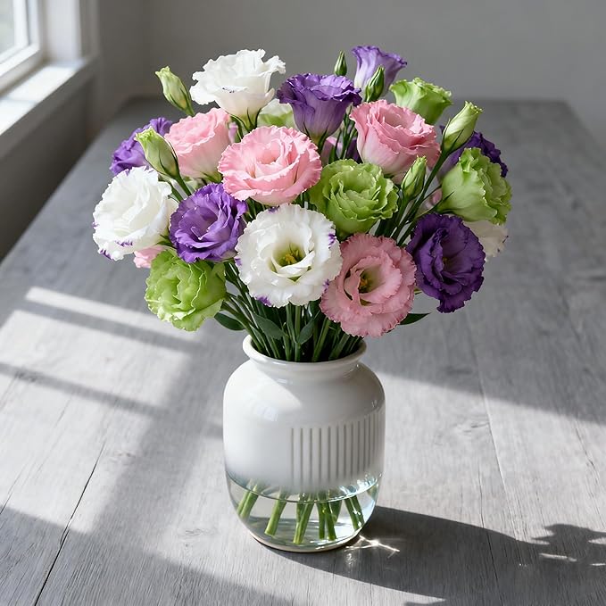Lisianthus Flower Seeds for Planting, 200 Mix Color Annual Lisianthus Seeds, Non-GMO Thornless Lisianthus Flowers Seed for Home Garden Outdoor