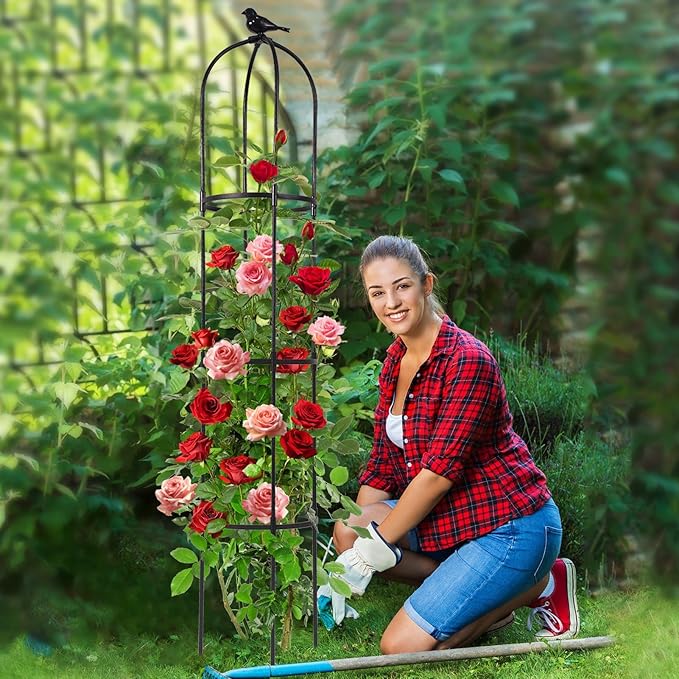 Lalahoni Garden Trellis for Climbing Plants Outdoor, 6 feet Tall Garden Obelisk Trellis Climbing Plant Support Potted Vine Flower Rose Clematis Vegetable Pea Bean Cucumber Trellis Raised Bed, 2 Pack