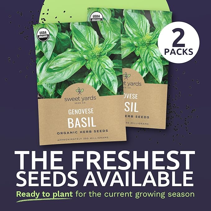 Organic Basil Seeds ‘Genovese’ – Two Seed Packets! – Over 496 Open Pollinated Non-GMO Italian Seeds – Sweet Yards Seed Co.